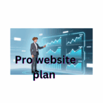 Pro website plan